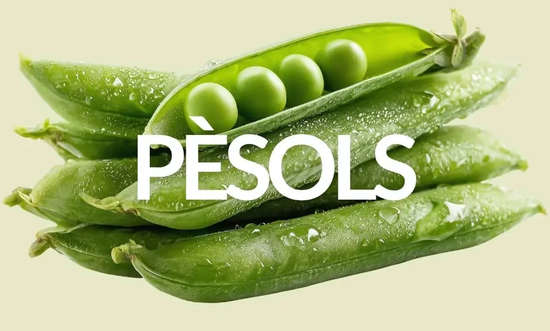 PROPIETATS DELS PÈSOLS: MOLT MÉS QUE UNA GUARNICIÓ