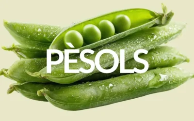 PROPIETATS DELS PÈSOLS: MOLT MÉS QUE UNA GUARNICIÓ