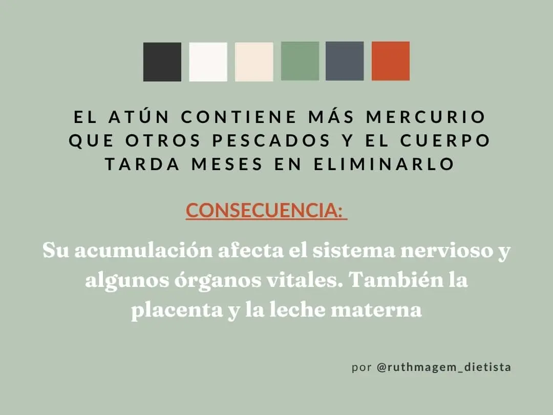Alternativas al atún en lata