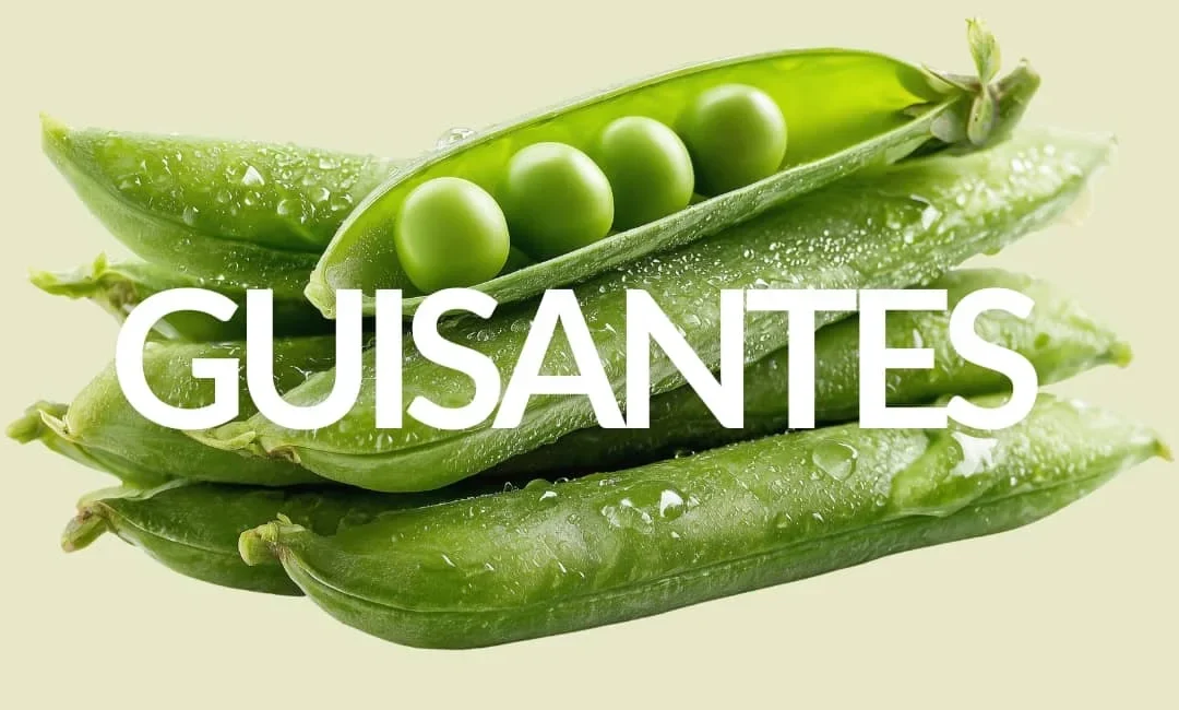 PROPIEDADES DE LOS GUISANTES: MUCHO MÁS QUE UNA GUARNICIÓN