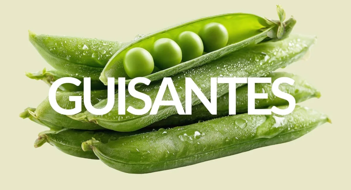 Propiedades de los guisantes