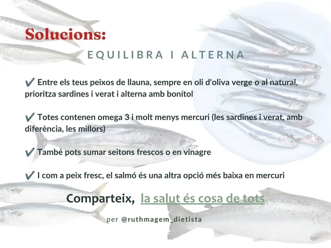 Tonyina i mercuri solucions