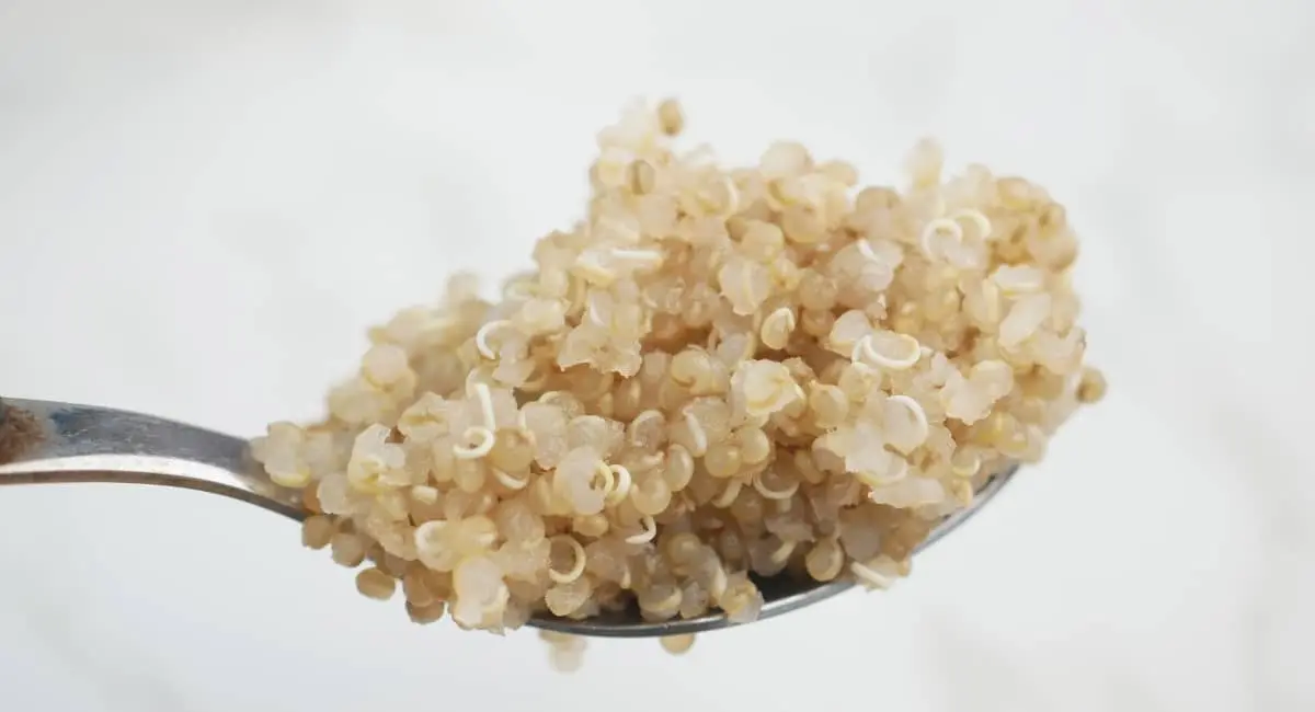 quinoa cocida com cuinar quinoa
