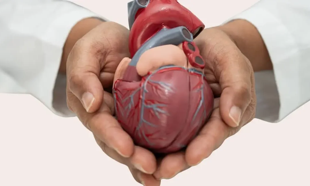 QUÉ COMER PARA CUIDAR EL CORAZÓN: 9 CLAVES PRÁCTICAS PARA EL DÍA A DÍA