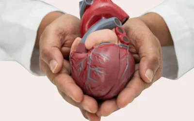 QUÉ COMER PARA CUIDAR EL CORAZÓN: 9 CLAVES PRÁCTICAS PARA EL DÍA A DÍA