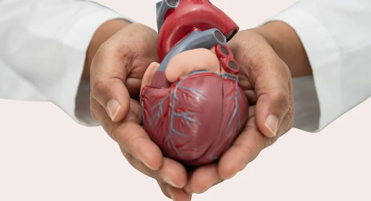 Alimentos para cuidar el corazón